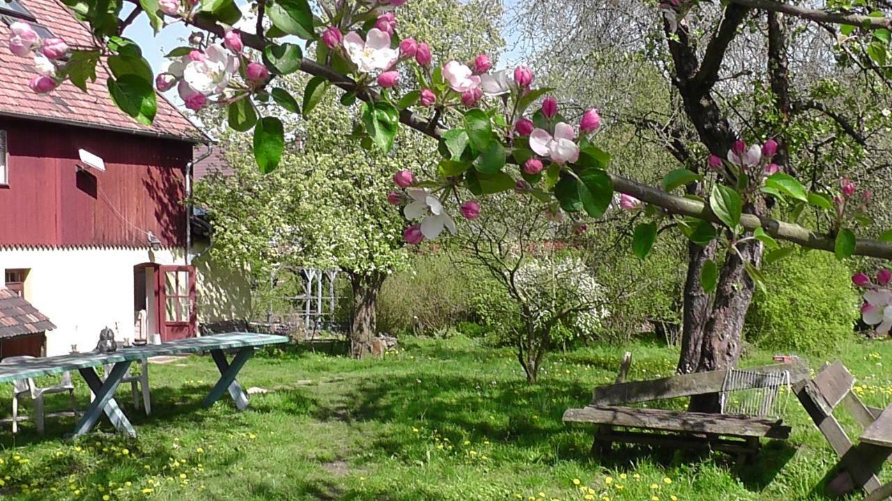 Appel-Ranch Leilighet Bockelwitz Eksteriør bilde